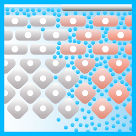img01.png